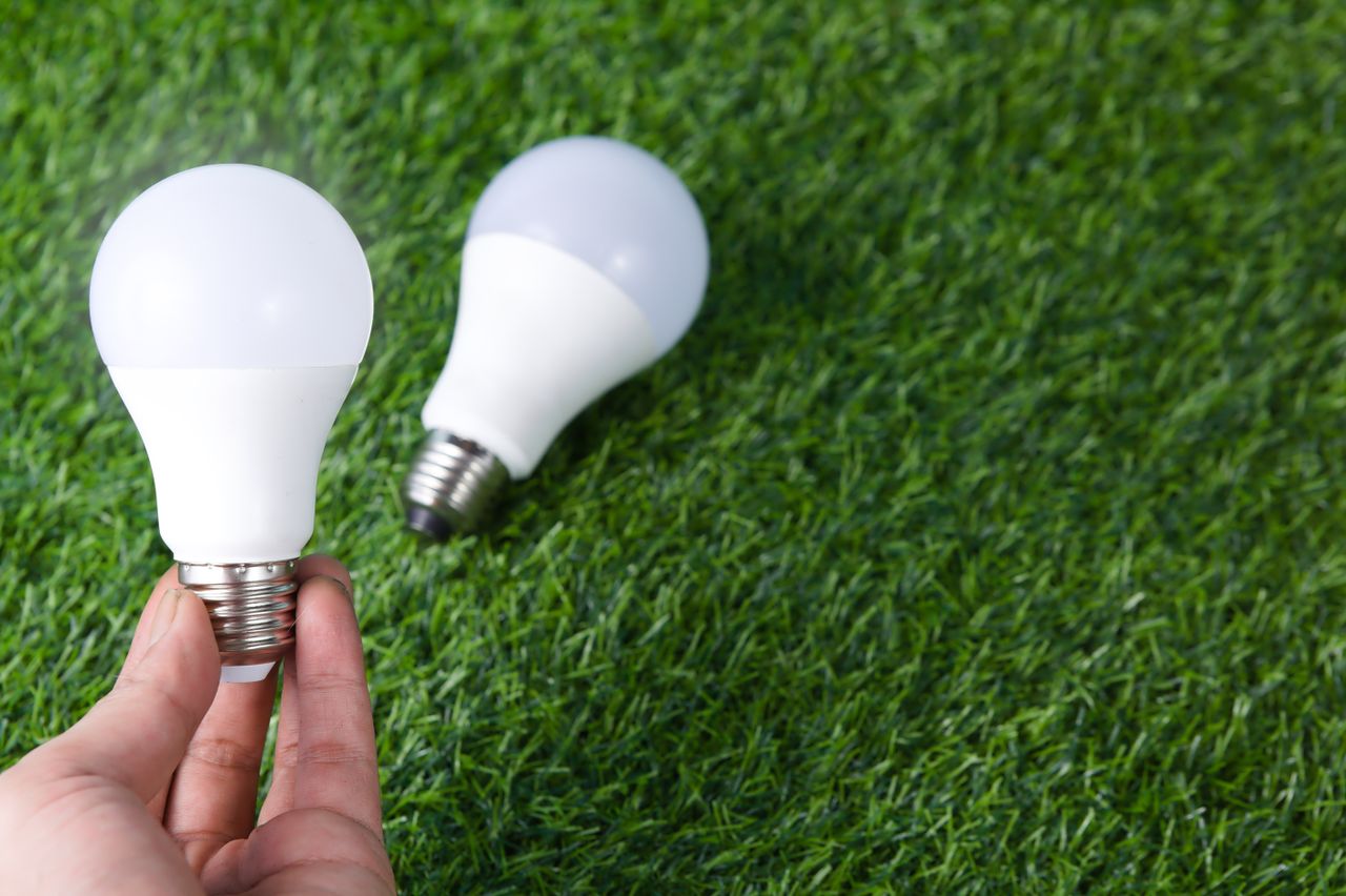 The Art of Drawing Readers In: Your attractive post title goes here Hand holding LED light bulb on a grass surface, representing energy efficiency.